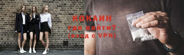 твердый Абаза
