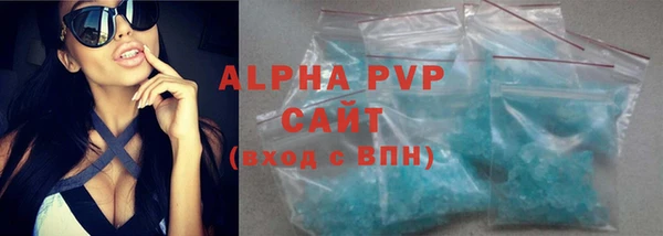 apvp Аша