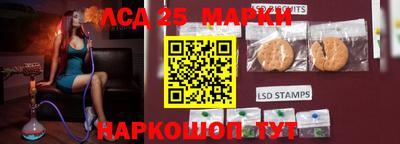 гидропоника Славгород
