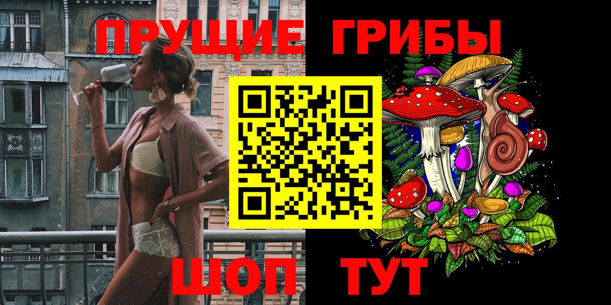 Сальск  Псилоцибиновые грибы Psilocybine cubensis  Вход с VPN 
